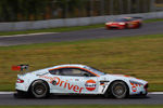 Young Driver AMR Aston Martin DBR9 Picture